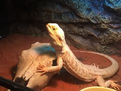 -藦茜花园宠物主题亲子互动体验馆(国顺东路店)