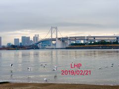 -台场海滨公园船码头
