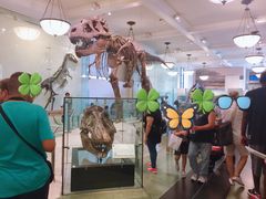 -美国自然历史博物馆