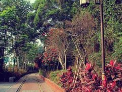 android_upload_pic-铁路文化公园