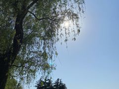 -东方绿舟景区