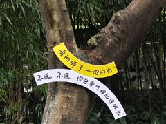 -广州兰圃
