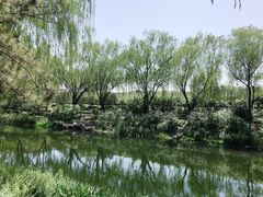 -护国寺小吃(安定门店)