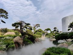 -罗红摄影艺术馆