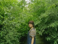 -渭南桃花源民俗文化园