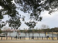 -黄兴公园