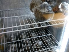 -志龙皇冠吃货椰子铺