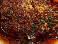 -院8里·小聚园老川菜(九眼桥店)