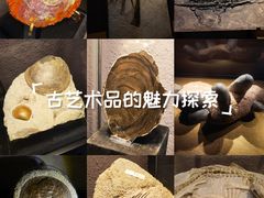 -中华赏石园