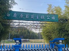 -白鹿原葡萄主题公园