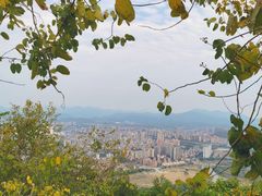-风云岭森林公园