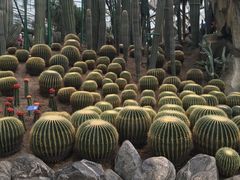 -南山植物园