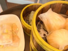 -东方早茶 海鲜•青岛菜(国信体育中心店)