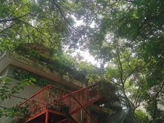 -武汉大学-樱园