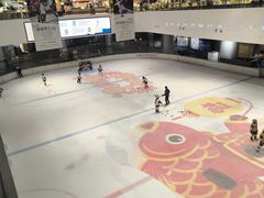 -TheRink大零溜冰场(IFS国金中心店)