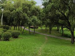 -福建鲤鱼洲酒店