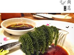 -若蘭慈·无国界素食料理(欢乐海岸店)