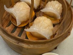 -金鼎轩(方庄天坛店)