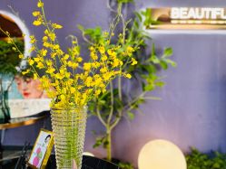 -花隐·美芙炫海菲秀皮肤管理中心