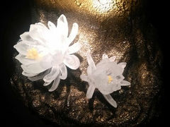 android_upload_pic-上海琉璃艺术博物馆