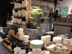 -自由生长植物工作室(深港花卉中心店)