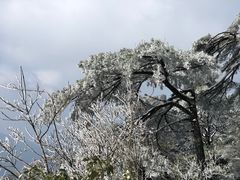 -三清山希尔顿度假酒店