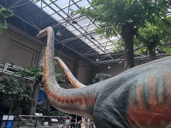 -国家自然博物馆