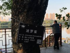 -南宁南湖公园