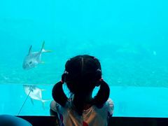-瑞德姆美人鱼海底演艺主题餐厅(亚龙湾店)