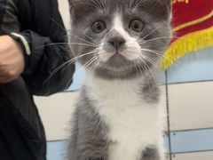 -中农国际动物医院24小时·猫科·骨科·急重症中心