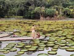 -西双版纳傣族园