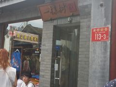 -一棵树(雨儿胡同)