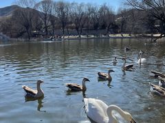 -石家庄市动物园