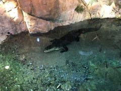 -迪拜水族馆及水下动物园