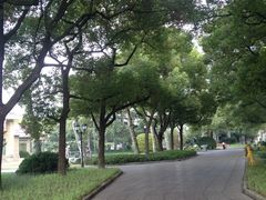 IMG_0161-上海虹桥迎宾馆