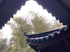 -金孔雀温泉旅游度假村