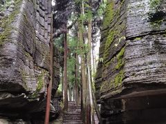 -大九湖