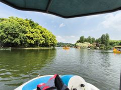 -上海共青森林公园