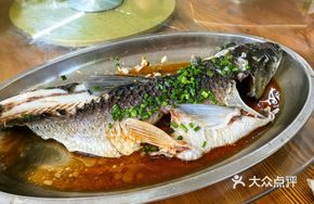 Mountain and River Fish