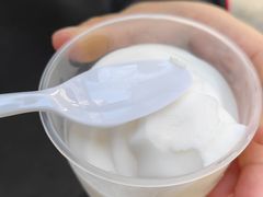 椰子雪糕-洪馨椰子