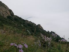 -白草畔自然风景区