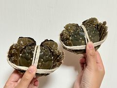 -阳澄湖大闸蟹·琼灵阁牌品牌连锁(吴中总店)