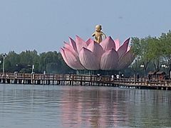 -白洋淀景区