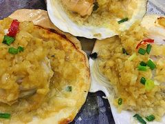 扇贝-老虎滩大连海鲜烧烤(建邺云锦路总店)