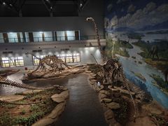 -自贡恐龙博物馆