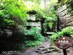 -汤旺河林海奇石景区