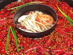 -蜀大侠火锅(建设路第五大道店)