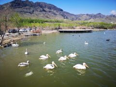 -新疆天山野生动物园