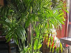 -厉家菜(金宝街店)