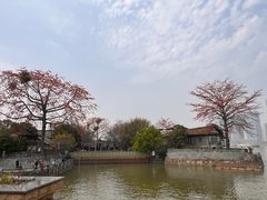 -海珠儿童公园